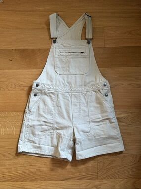 Patagonia Stand up overall shorts 5” inseam